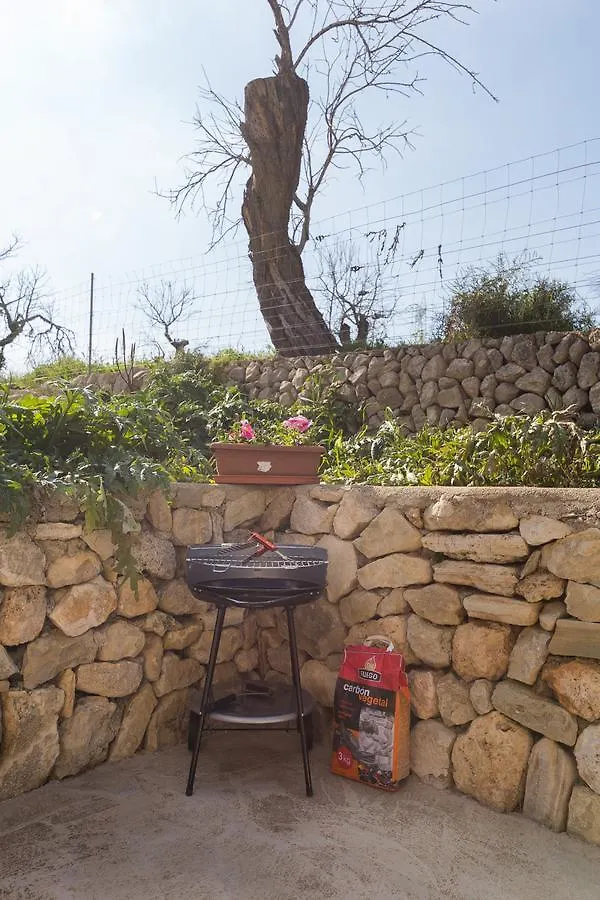 Can Guapo Llubi Holiday home